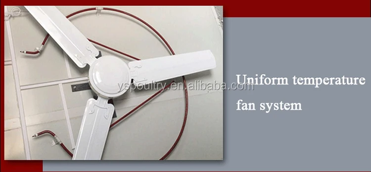 egg incubator  (5).jpg