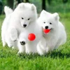 /product-detail/3-sizes-bite-resistant-rubber-elastic-squeaky-ball-pet-dog-toys-puppy-training-toys-60746853909.html
