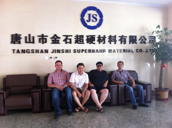 NQ HQ PQ BQ AQ Pdc Coal Mining / Pcd Impregnated Diamond Exploration Coring Drill Bit PDC Bits