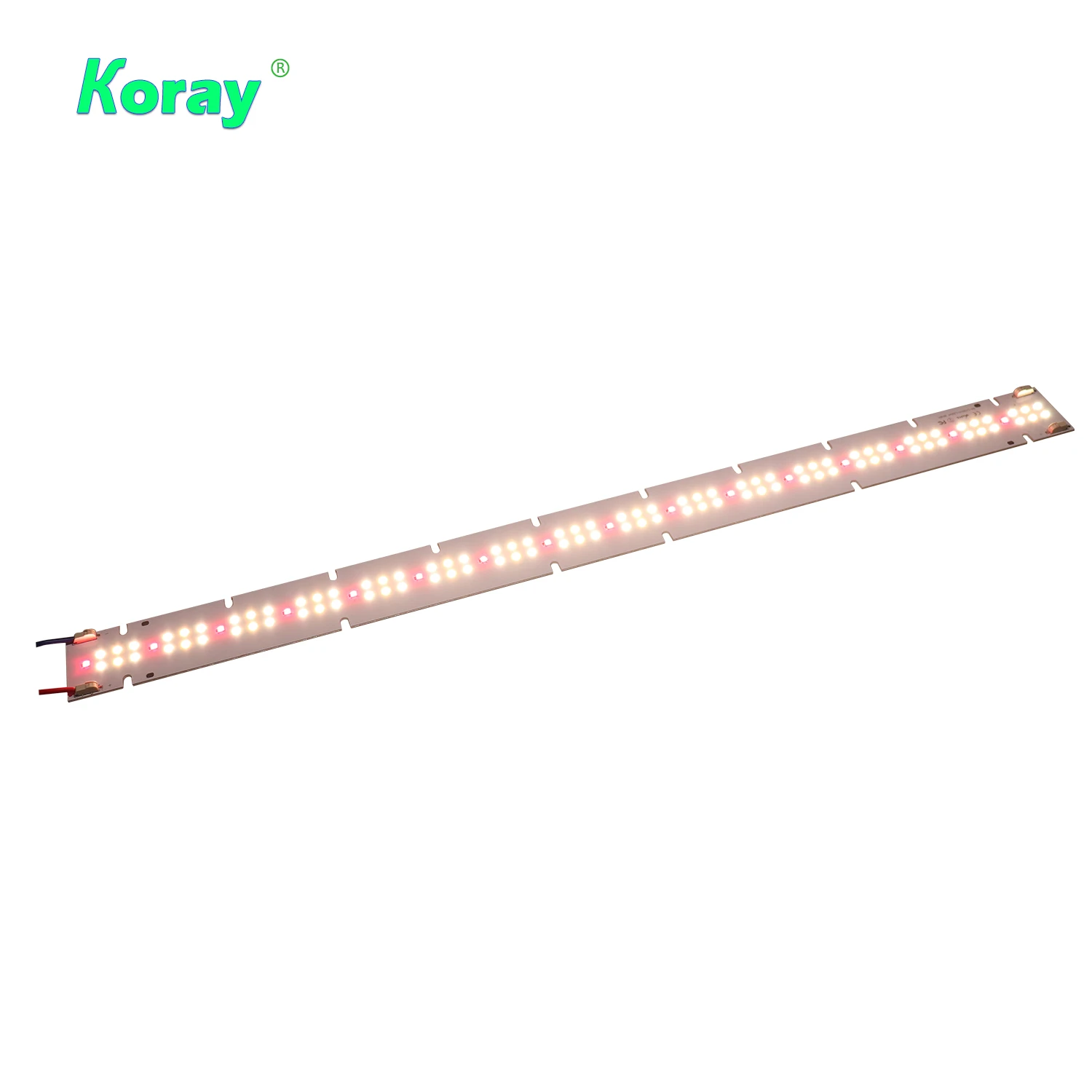Koray qb288 v2 QB 65w wholesale led uvb grow light 48v lm301b/lm301h red 660nm for plants