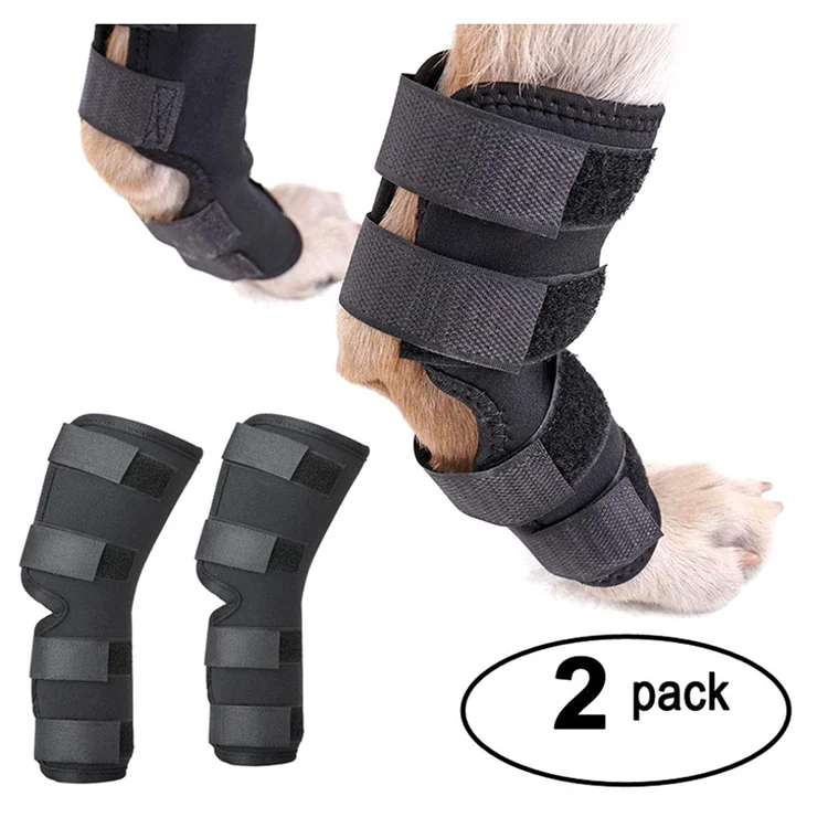 Dog Rear Leg Braces Canine Hind Hock Wraps Neoprene Dog Knee Brace