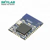SKYLAB nRF52840 Low Energy Transmitter Receiver Bluetooth Module With Factory Wholesale Price