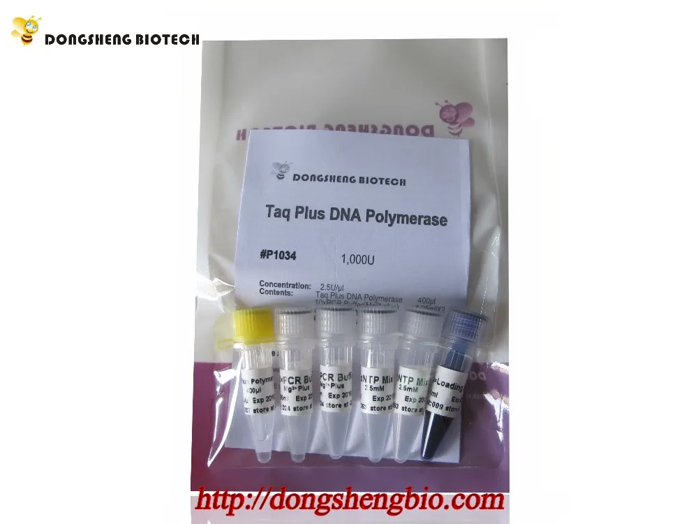 P1034 Taq plus DNA Ploymerase.jpg