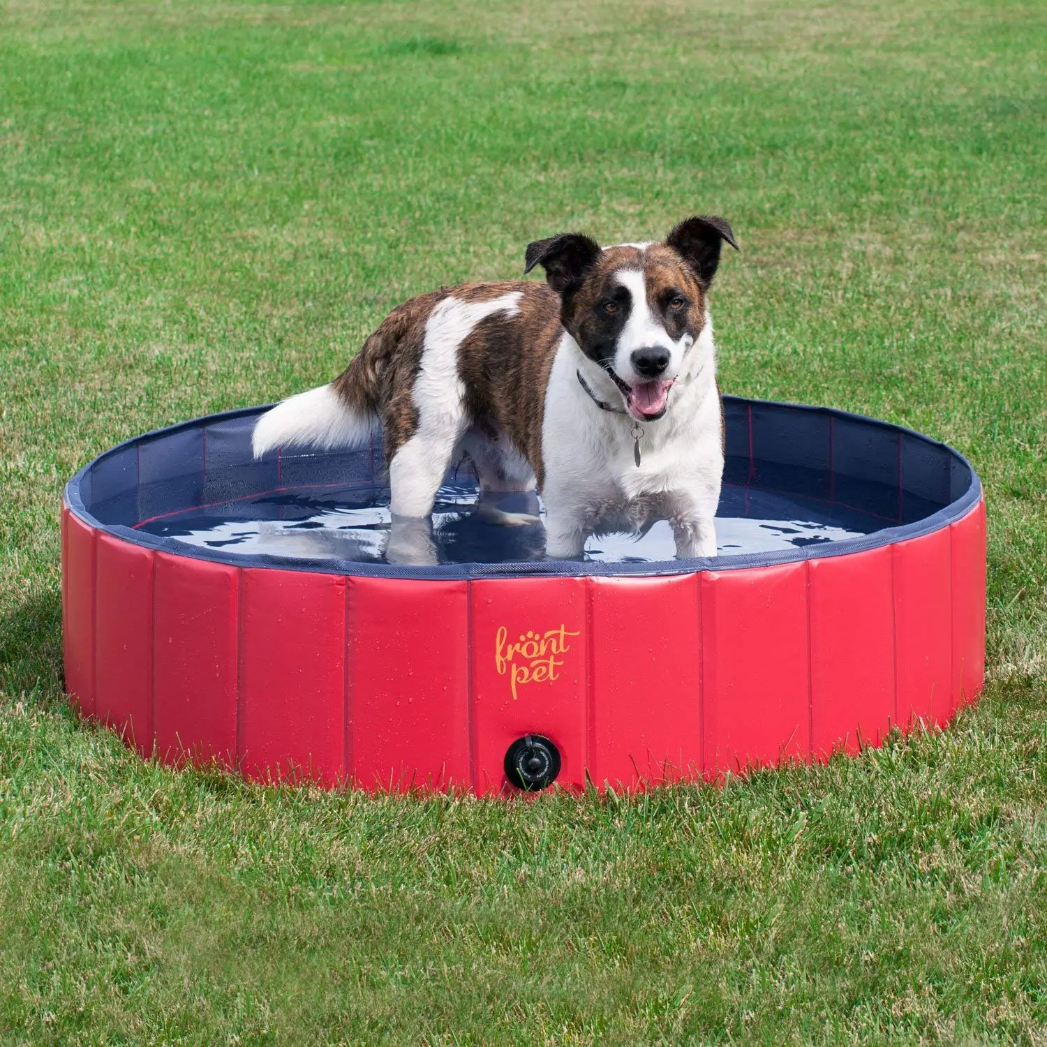 frontpet dog pool