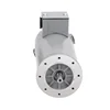 High torque permanent magnet dc motor 82ZYT