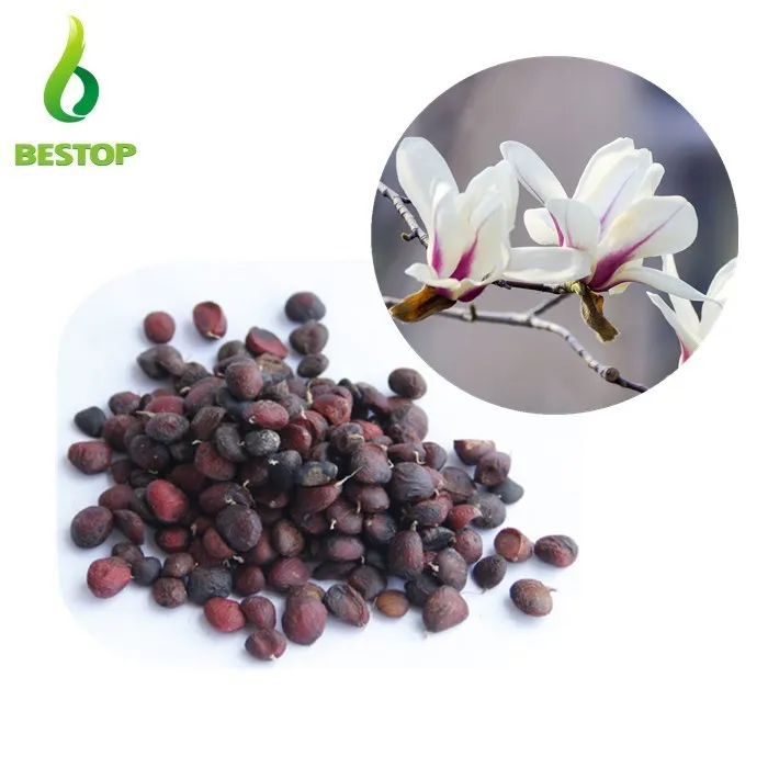 The seeds of magnolia sulangeana alba Food, Seeds, Breakfast