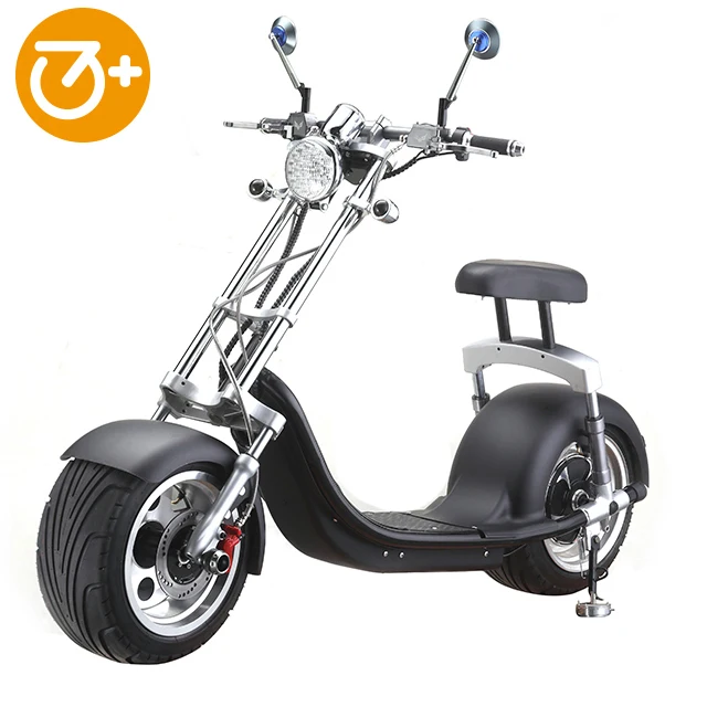citycoco haley scooter