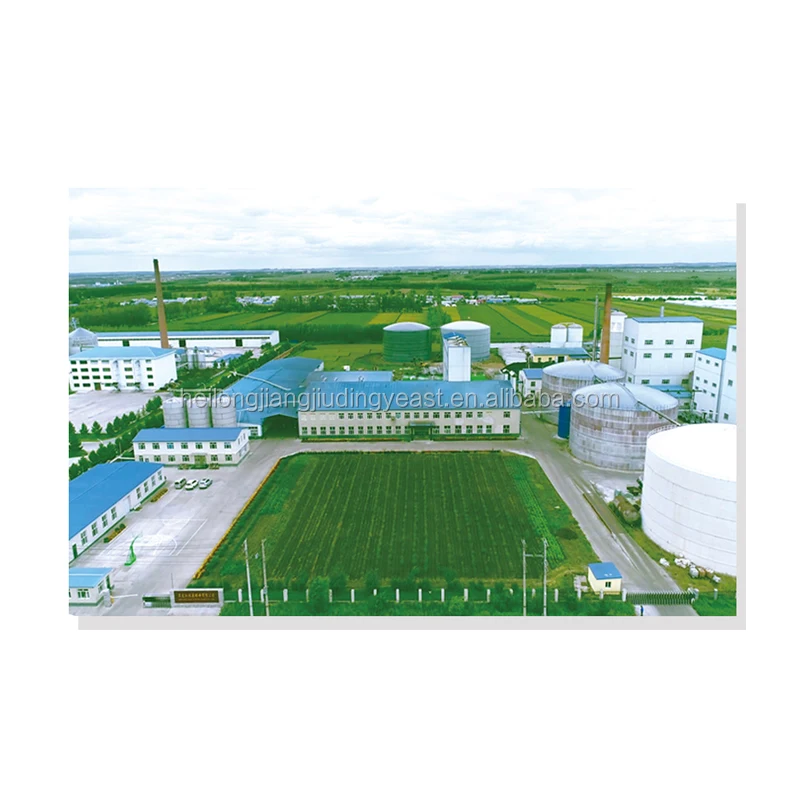 
BV certificated high sugar low sugar bread Instant Dry Yeast manufacturer 500g 