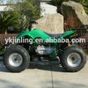 adult 200CC mini jeep with chain certification in EEC
