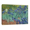 Handpainted oil painting art painted on canvas van gogh Irises