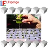 Green Plants Growing Melanine Sponge for Green House