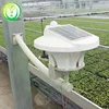 Intelligent Temperature Control Plastic Film Greenhouse,Hydroponic Systems,Hydroponic Lettuce Seeds