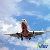 international logistics agent transport from china to Global