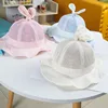Spring Children Princess Cartoon Rabbit Letter Flanging Basin Mesh Sun Hat