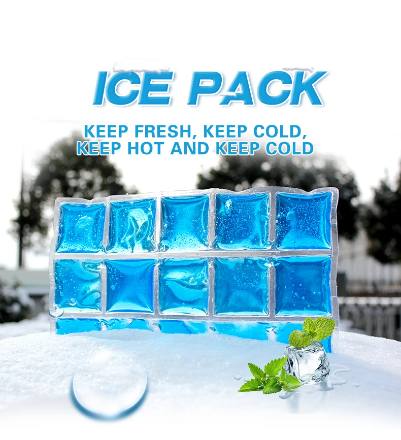 Reusable Pe Ice Packs For Shipping Food 12 Cells Cool Gel Ice Pack