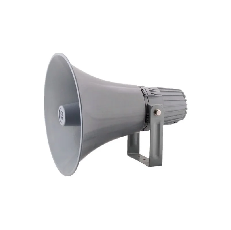 100 watt 12 inch speaker