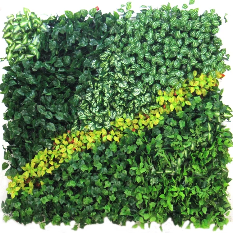 

artificial plastic creeper boxwood hedge moss grass indoor plant vertical panels leaves green wall system for decoration