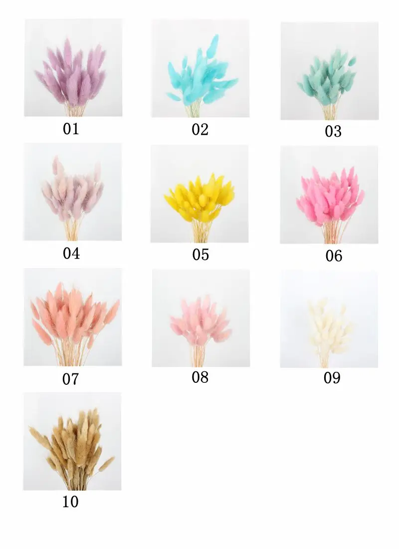 Wholesale Soft Real Preserved Flowers Dried Lagurus Eternal Forever