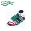Smart Electronics~Recognition SCM For Switch Control 32 kinds languages Voice module