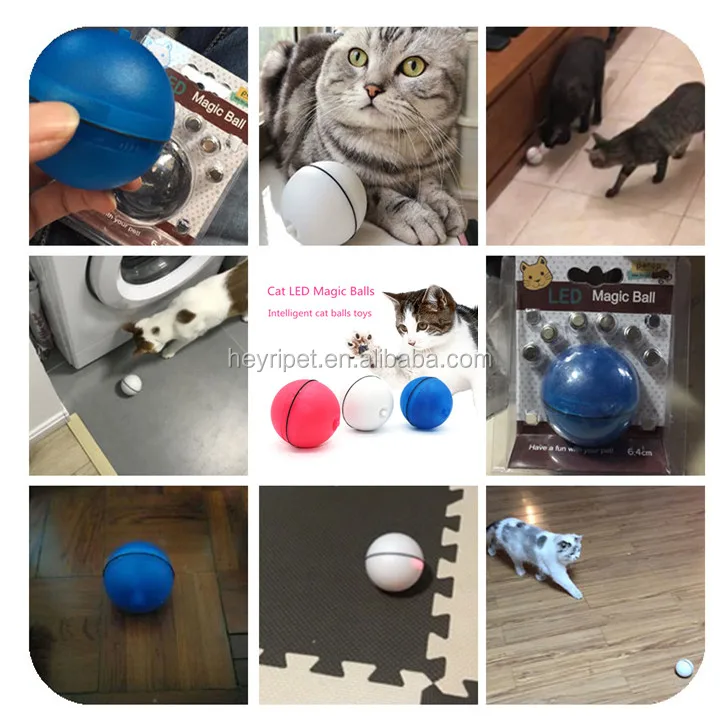 cat magic ball