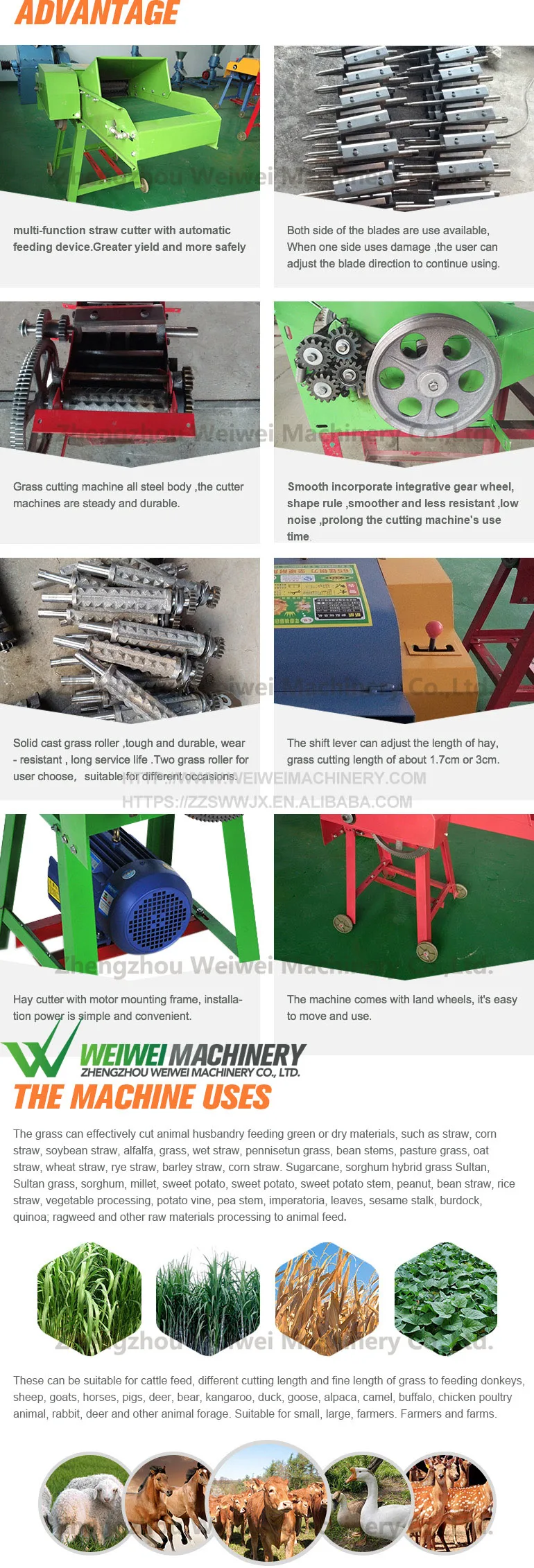 philippine corn silage