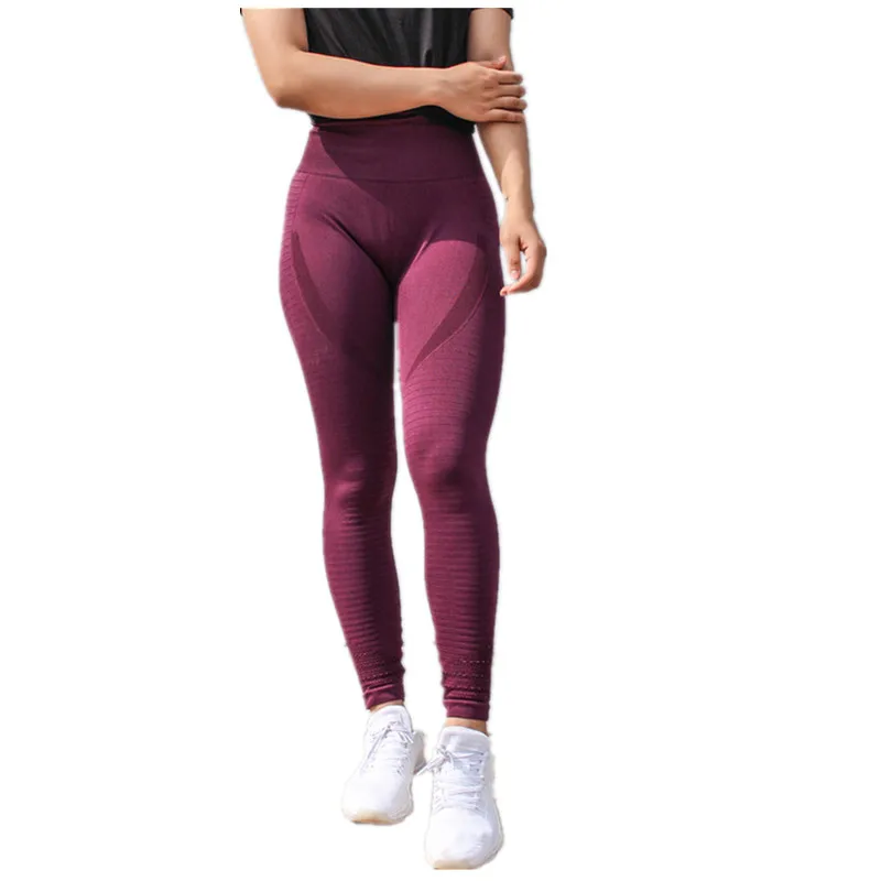 shark gym leggings