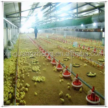 Commercial Chicken House commercial chicken house, commercial chicken house suppliers and Commercial Chicken House commercial chicken house, commercial chicken house suppliers and