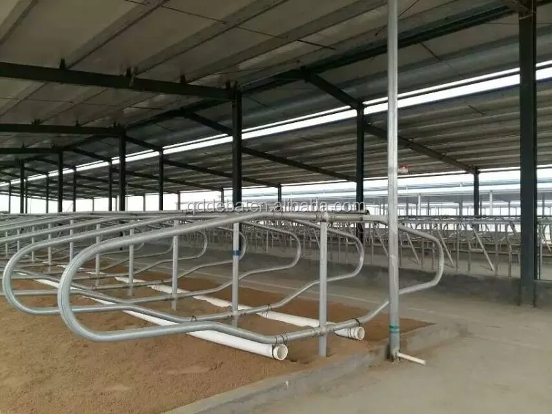 Free Stalls Cattle Cubicles Separate Cow Stalls Deba Cattle Equipment ...