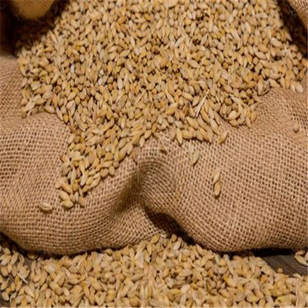Barley-03.jpg