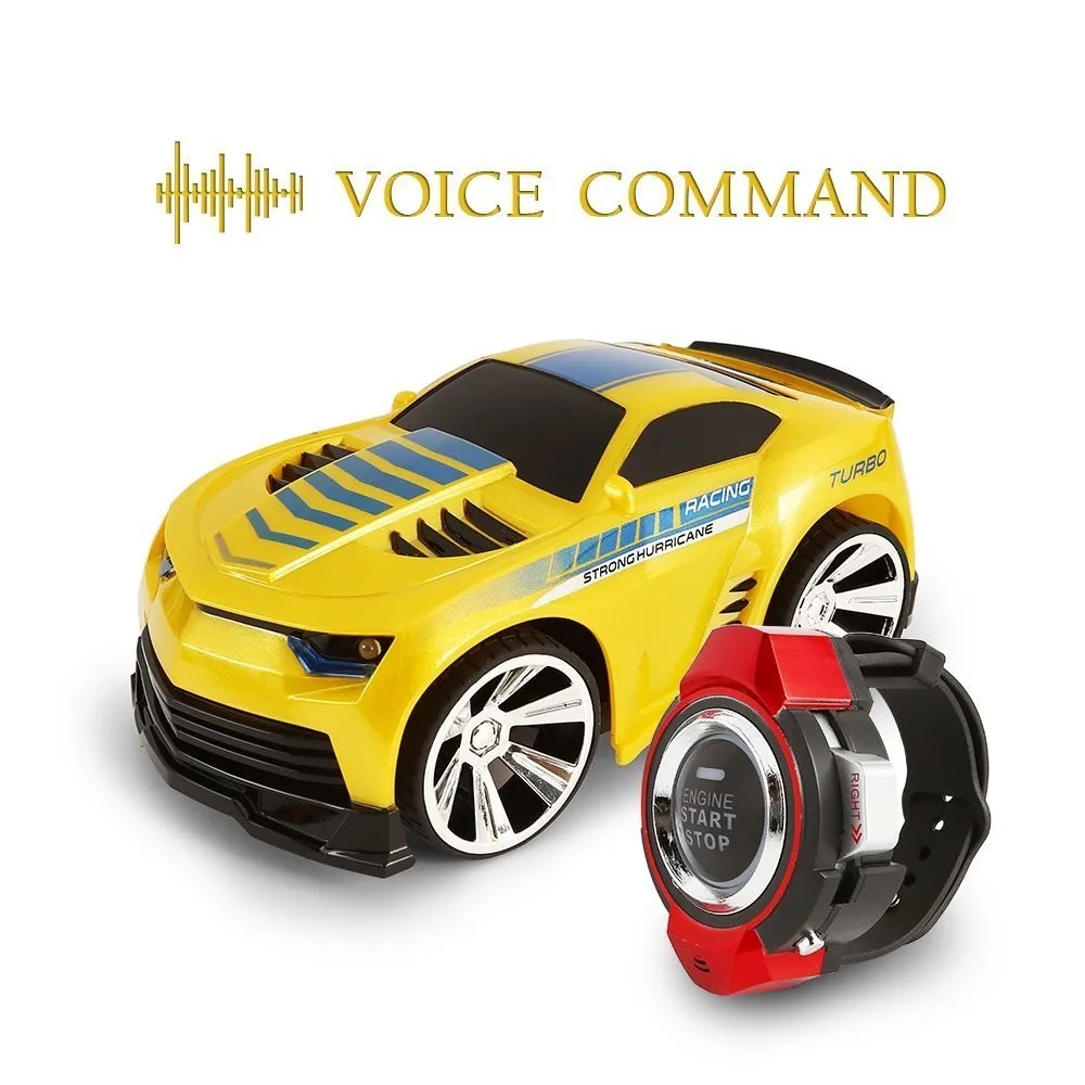 voice controller rc car