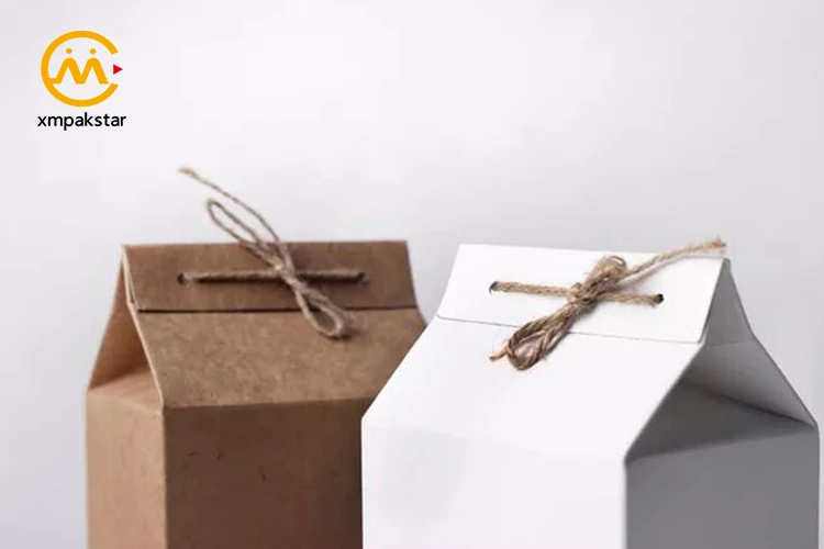 Kraft food packaging box5