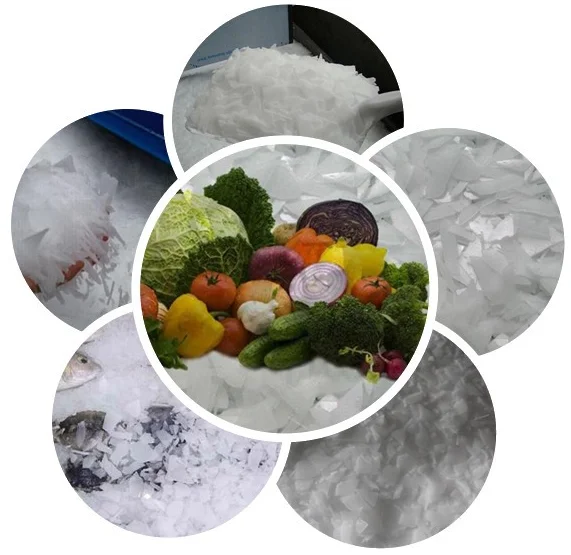 500kg Per Day Hospital Ice Chip Machine Pb500 Buy Ice Chip Maker