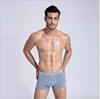 Hot selling men sexy color stripe boxer shorts men's cotton mid-waist basic underwear