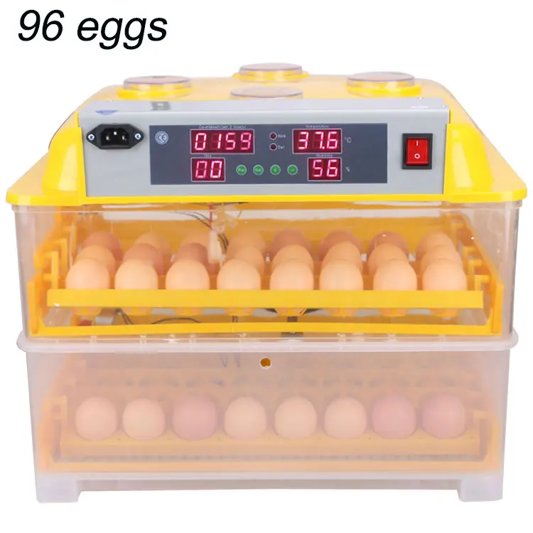 Куплю яйца кур для инкубатора. Инкубатор Egg incubator. Инкубатор автоматический WQ 96. Mini Egg incubator 112. Инкубатор Egg incubator 6.