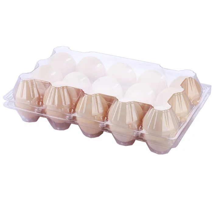 Guangzhou Supplier Clear Plastic Egg Cartons Tray Recycled Egg Tray