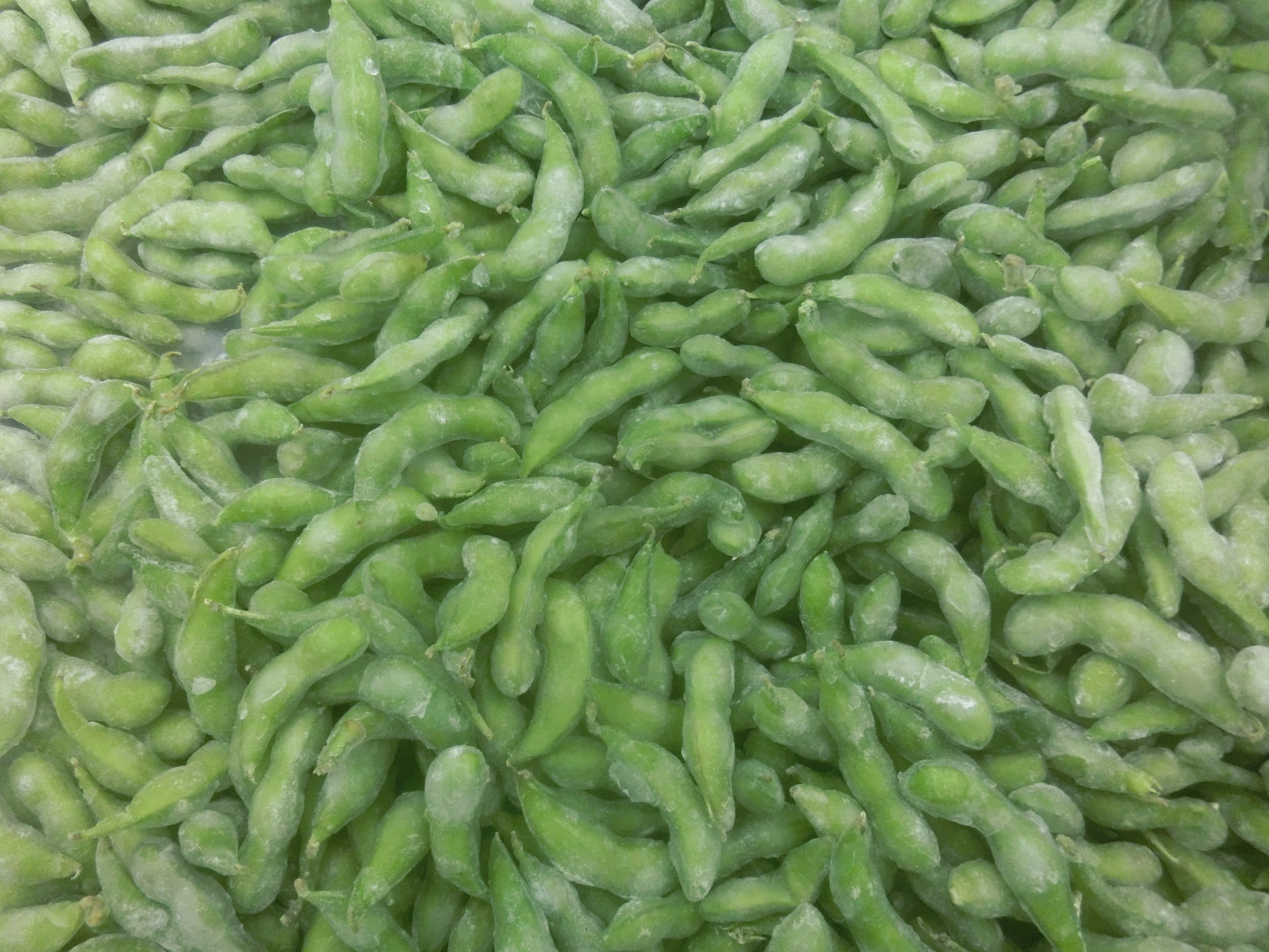 
Wholesale high quality IQF frozen green edamame soy bean to korea 