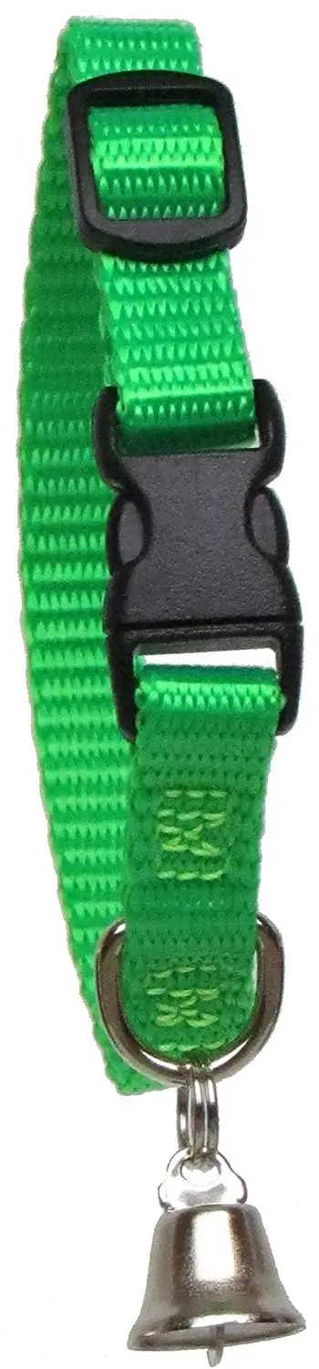 neon green dog collar