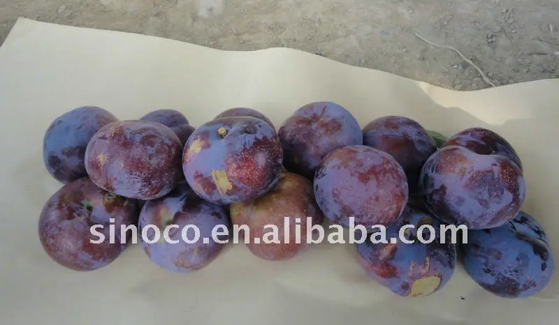 
New Crop Fresh Black Plum 