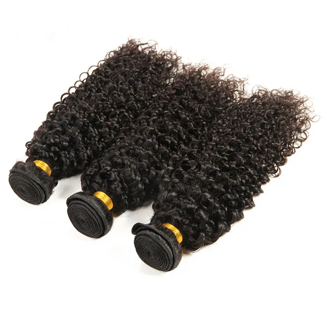 

10A Unprocessed Virgin Brazilian Hair Extensions Water Wave Curly Style Black Color 10-30inch Virgin Brazilian Hair Bundles