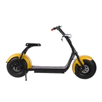 

Wholesale Front Rear Oil Disc Brake Fat Tire Citycoco In Electric Scooters