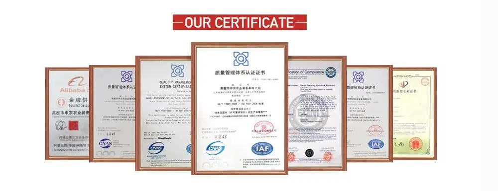 certificate 5.jpg