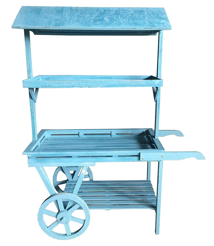 succulent flower rack1.jpg