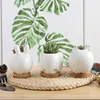APHACATOP Wholesale Indoor White Ceramic Small Mini Animal Stone Succulent Cactus Flower Plant Pot for PLANT POTS