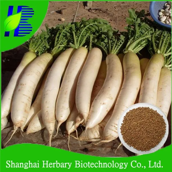 radish green seeds