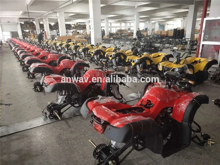Hot Sale 150cc/200cc/250cc Adults Gasoline Quad Bike ATV