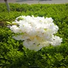 white Artificial spring blossom cherry flowers