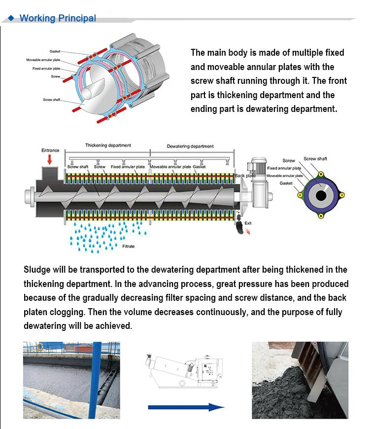 screw press separator