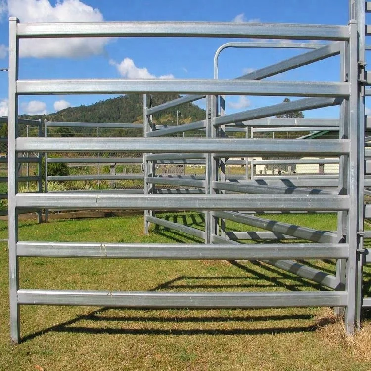 cattle panel 5.jpg