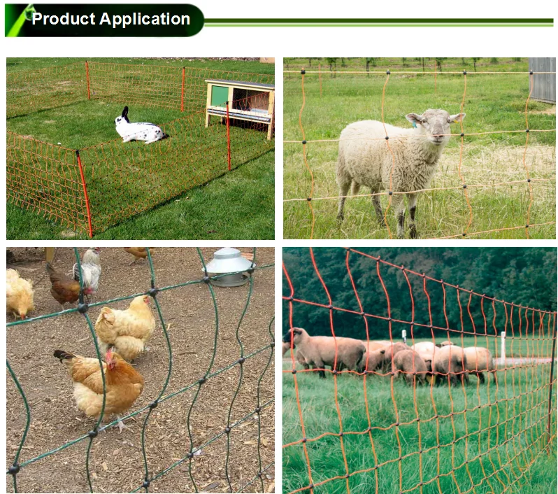 Protect Animals Plastic Safety Chicken Garden Fence Net For Poultry And ...