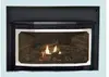 Fireplace Inserts The Focus